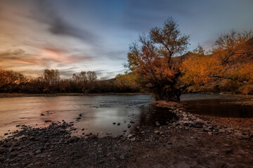 A beautiful sunset along the Salt River, with a tree soaking in the last light. 