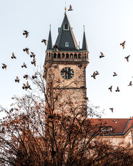 Prague czech republic-30.12.24 Historical Gothic Medieval castle and church complex, St. Vitus...