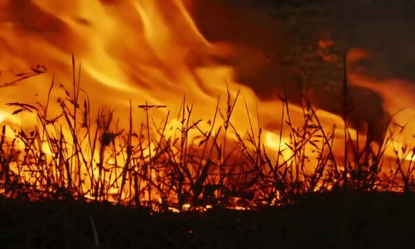 Intense grassfire raging with growing flames in natural setting.