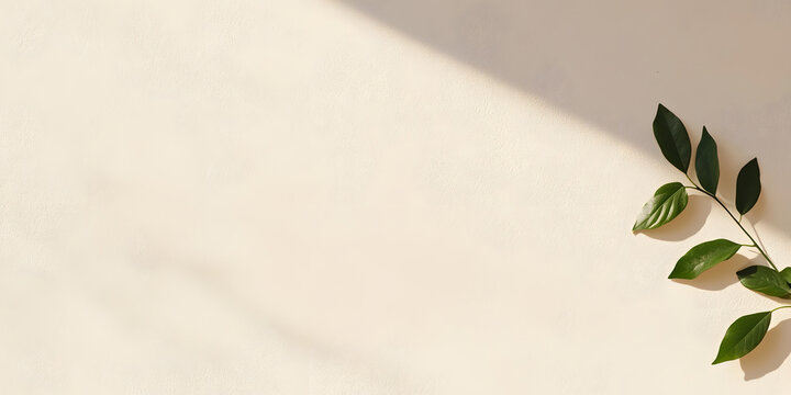 Green leaves on beige background. Minimalist nature backdrop with sunlight shadows. Perfect for design projects.