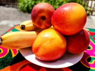 fresh fruits on a white plate
