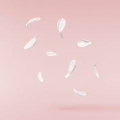 Fresh lilac blossom, Beautiful white lilac flowers falling in the air isolated on pink background. Zero gravity or levitation spring flowers conception, high resolution image