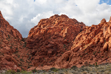 Red Rock Canyon National Conservation Park