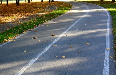 Wide two lane pathway turning in park in autumn sunny day