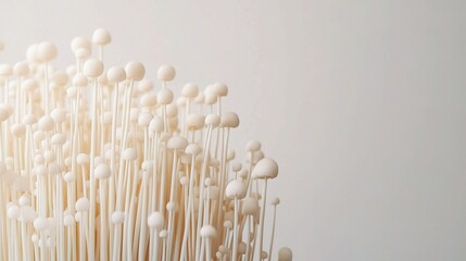 Realistic Enoki Mushroom Isolated on White Background for Stock Photos