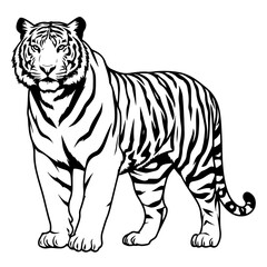 Majestic Tiger Silhouette – Stunning Black and White Wildlife Art
