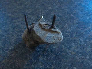 A knot of wood with rusty nails in it.