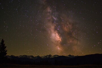 A dark blue sky full of twinkling stars, perfect for astronomy or space-themed designs