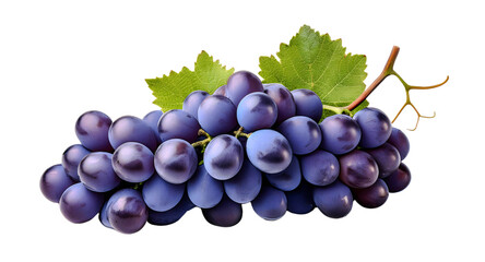 Fototapeta premium Dark Purple Grapes: A lush bunch of dark purple grapes, plump and juicy, sits on a vine with vibrant green leaves, capturing the essence of freshness and natural sweetness.