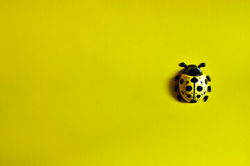 Plastic children's toy in the shape of a ladybug isolated on a yellow background