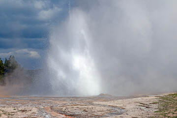 Daisy Geyser Erupting in the Morning