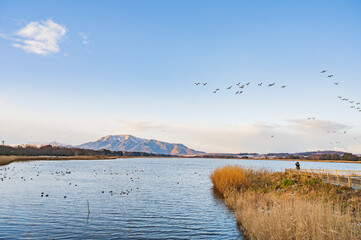 新潟　朝の佐潟