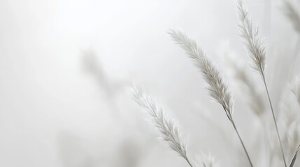 Obraz premium Minimalist White Textured Background for Creative Projects and Presentations