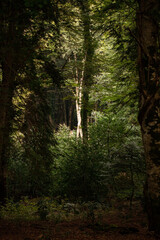 Gargano is a National Park in the Apulia region of Italy. Gargano is partially covered by the...