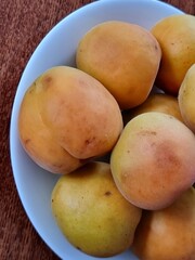 close-up of fresh yellow apricots
