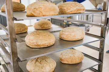 A lot of bread on a tray in a bakery. Real production.