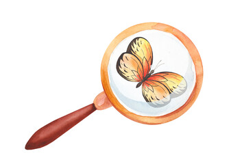 Watercolor illustration of a beautiful butterfly under a vintage magnifying glass. Observation of nature and insects