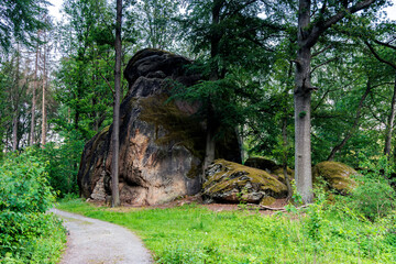Stein