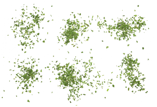 Set chopped dry parsley leaves flying, isolated on white, clipping