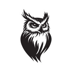 owl