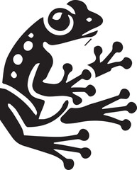 frog on a white