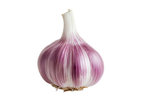 tuber: red purple garlic bulb on transparent background