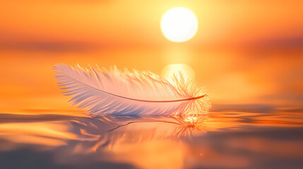 White feather floating on water at sunset - golden light and tranquility. Golden Sunset. Illustration