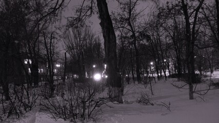 A dark and snowy forest with a tree in the middle