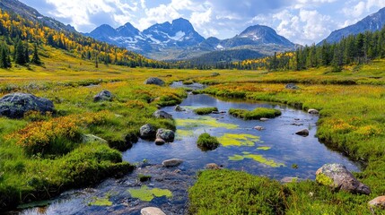 Fototapeta premium Mountain stream autumn landscape, valley, tranquility