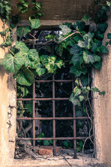 window in the wall