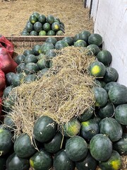 Watermelons piled up in a traditional Indonesian market