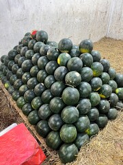 Watermelons piled up in a traditional Indonesian market