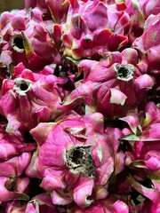 dragon fruit neatly arranged in the market