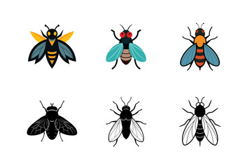 set of botfly illustration on white background 