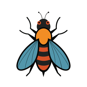 botfly illustration vector on white background 
