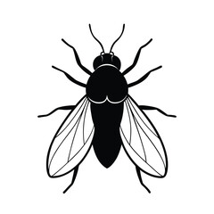 botfly line art vector illustration on white back 