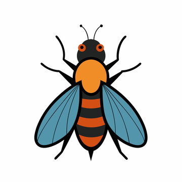illustration of a fly  botfly on white background