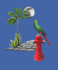 Surreal night collage with parrot, moon and tropical elements