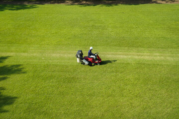 芝刈り機に乗って公園の芝刈りをしている風景