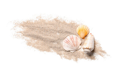 Composition with beautiful seashells and sand on white background