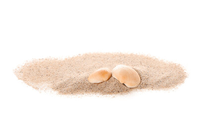 Sand with seashells on white background