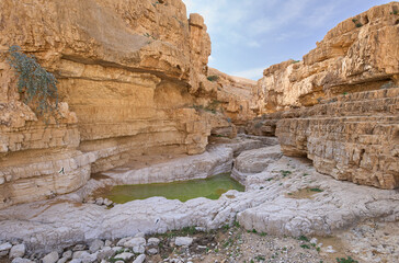 A nature pool created by flood water during heavy rains in wadi Upper Darga in the nature reserve Matzok HaEtekim, Judaean Desert. The most spectacular view the nature reserve offers. Turquoise water.