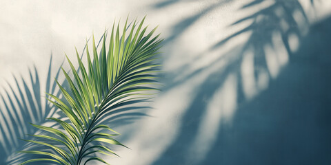 Background image for design or product presentation, with a play of light and shadow, in light gray tones