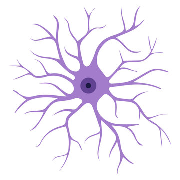 Reaktive astrocyte colored icon