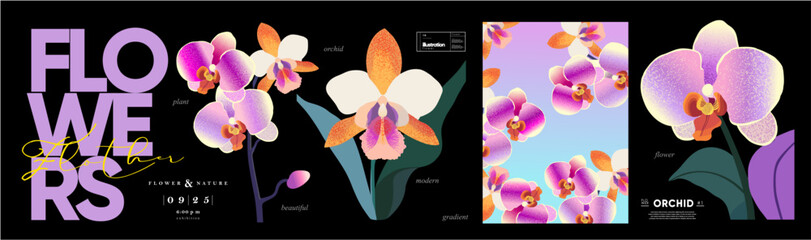 Orchid Flower Vector Art. Collection of vector illustrations featuring orchid flowers in various styles. Modern, elegant designs for poster, card and background