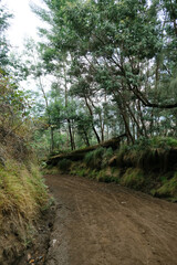 Hiking view at Ijen Volcano Crater, East Java Indonesia