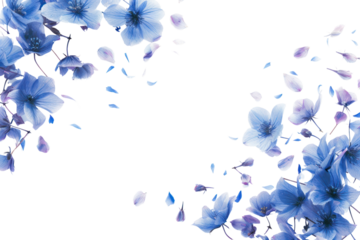 PNG Flower nature petal plant.