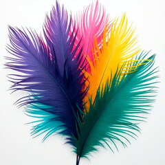 Obraz premium Abstract Feather Design with Bright Colors