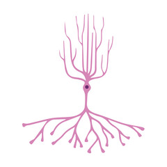 simple cerebellaar golgi cell colored icon