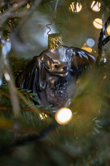 Christmas glass ornament bat on a spruce.
